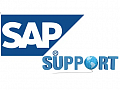 Supporting the workability of SAP with the supporting platform APM monitoring